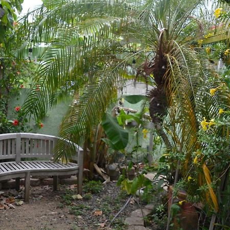 Palmetto Guesthouse Isla Culebra Екстер'єр фото