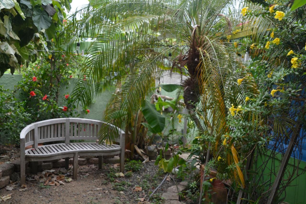 Palmetto Guesthouse Isla Culebra Екстер'єр фото