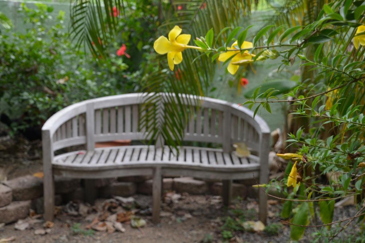 Palmetto Guesthouse Isla Culebra Екстер'єр фото